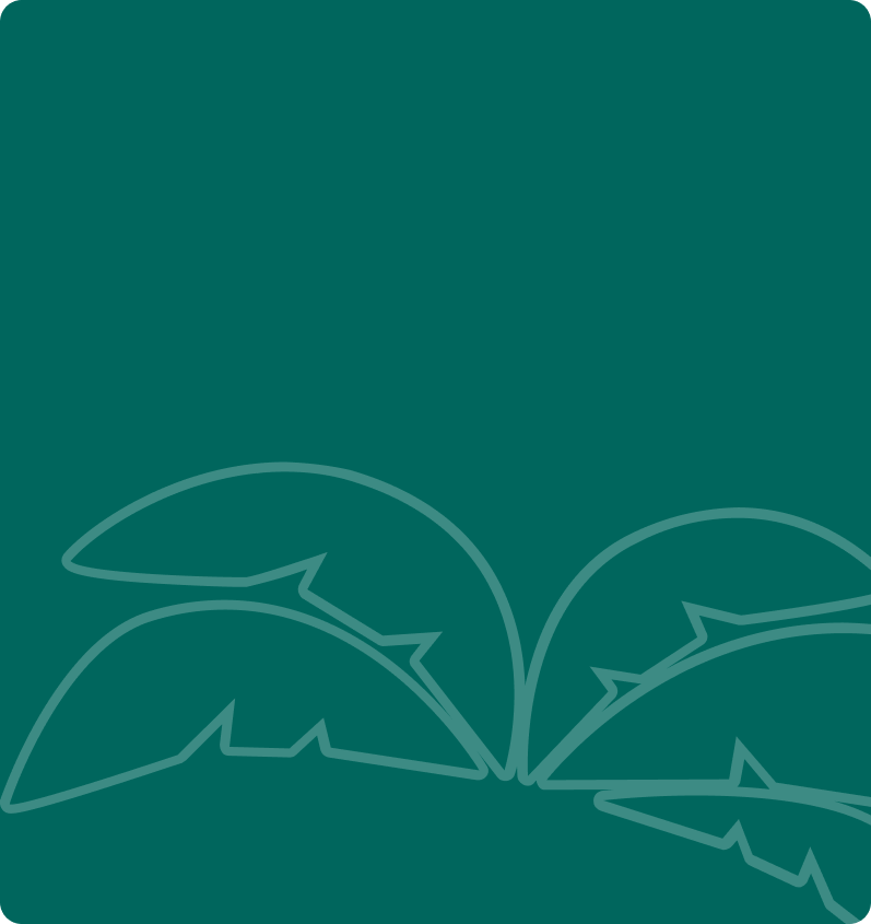 Tropical background image